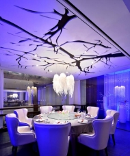 概念餐廳燈光設計應用